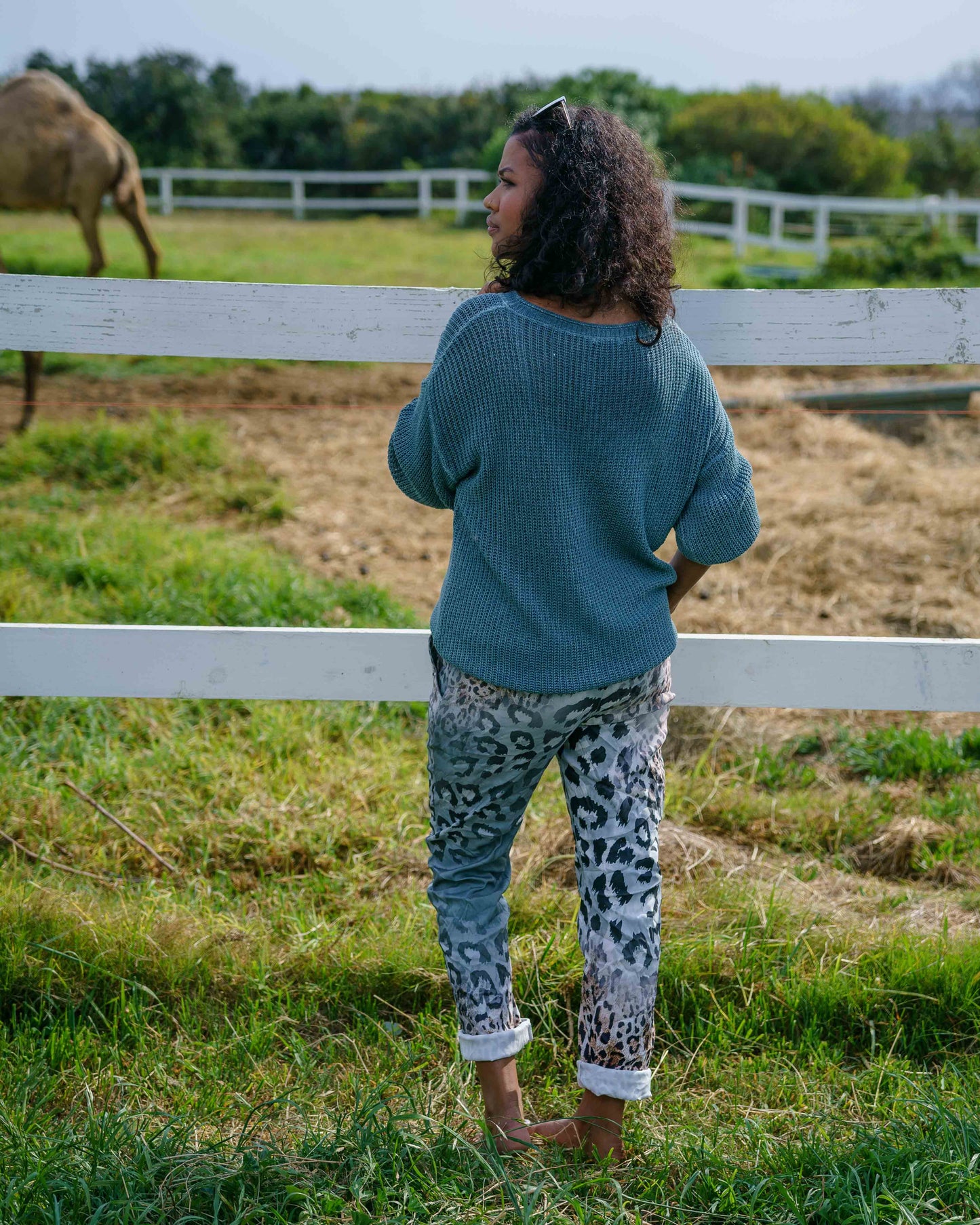 Clean Slate Knit | Forest