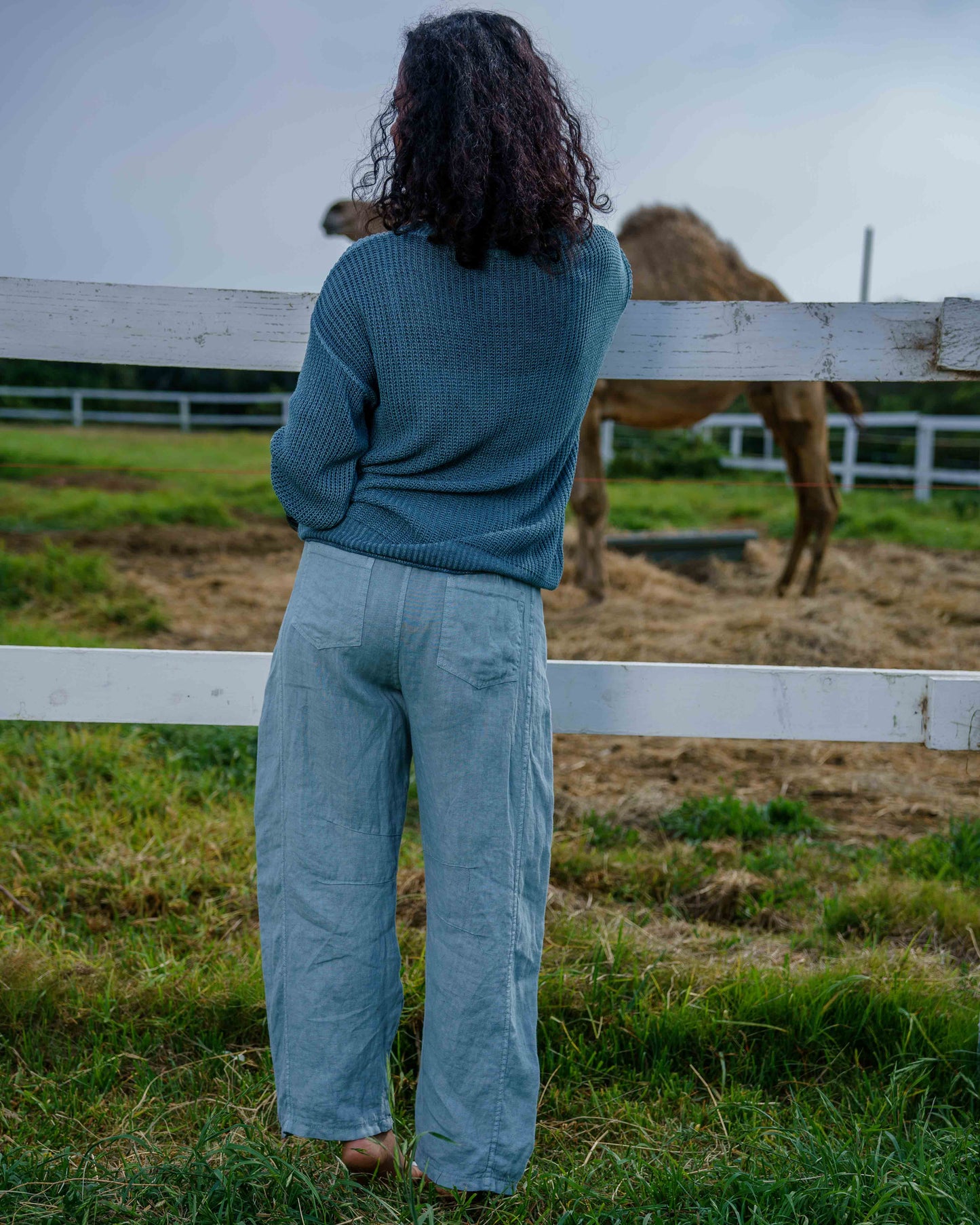 Clean Slate Knit | Forest