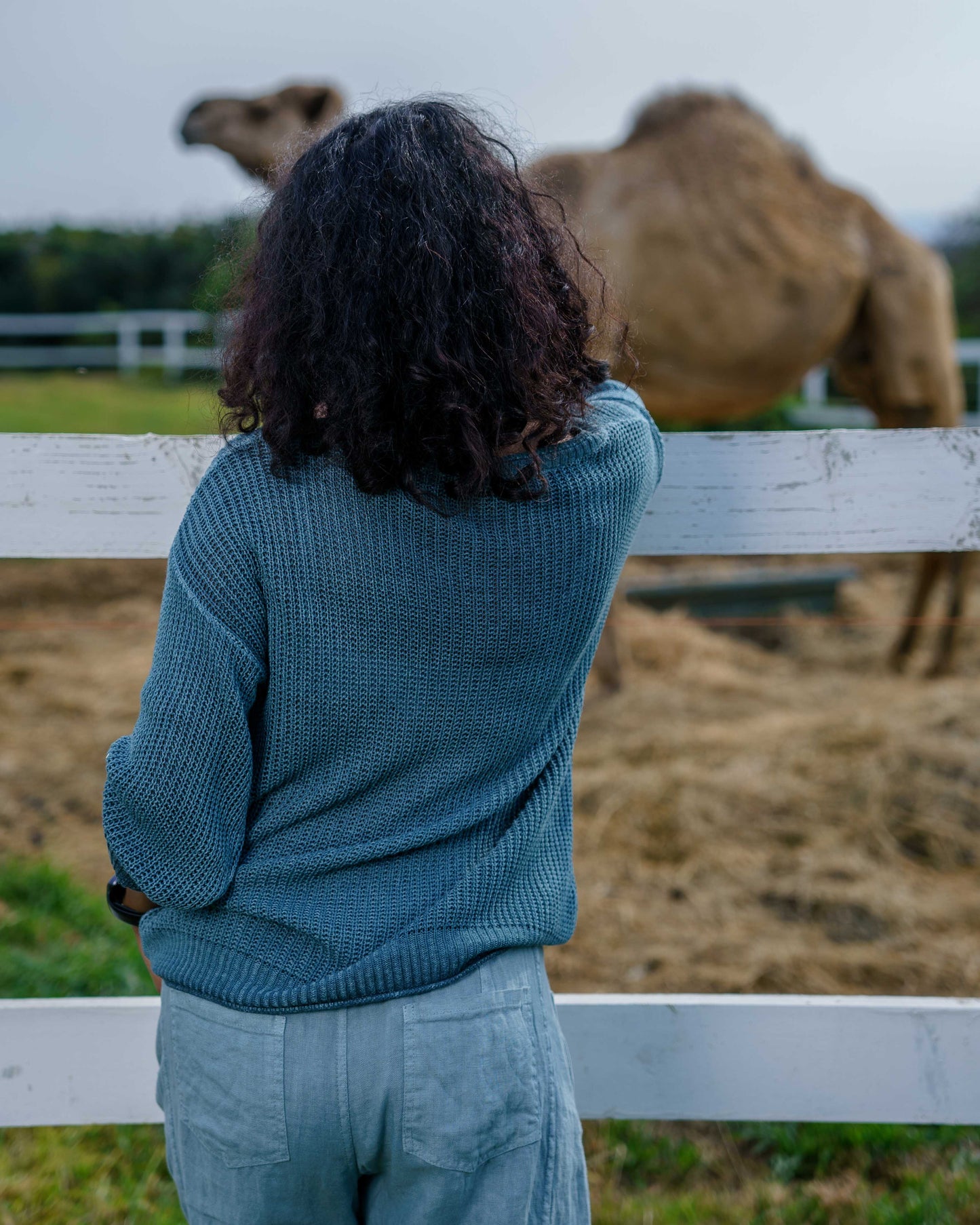 Clean Slate Knit | Forest
