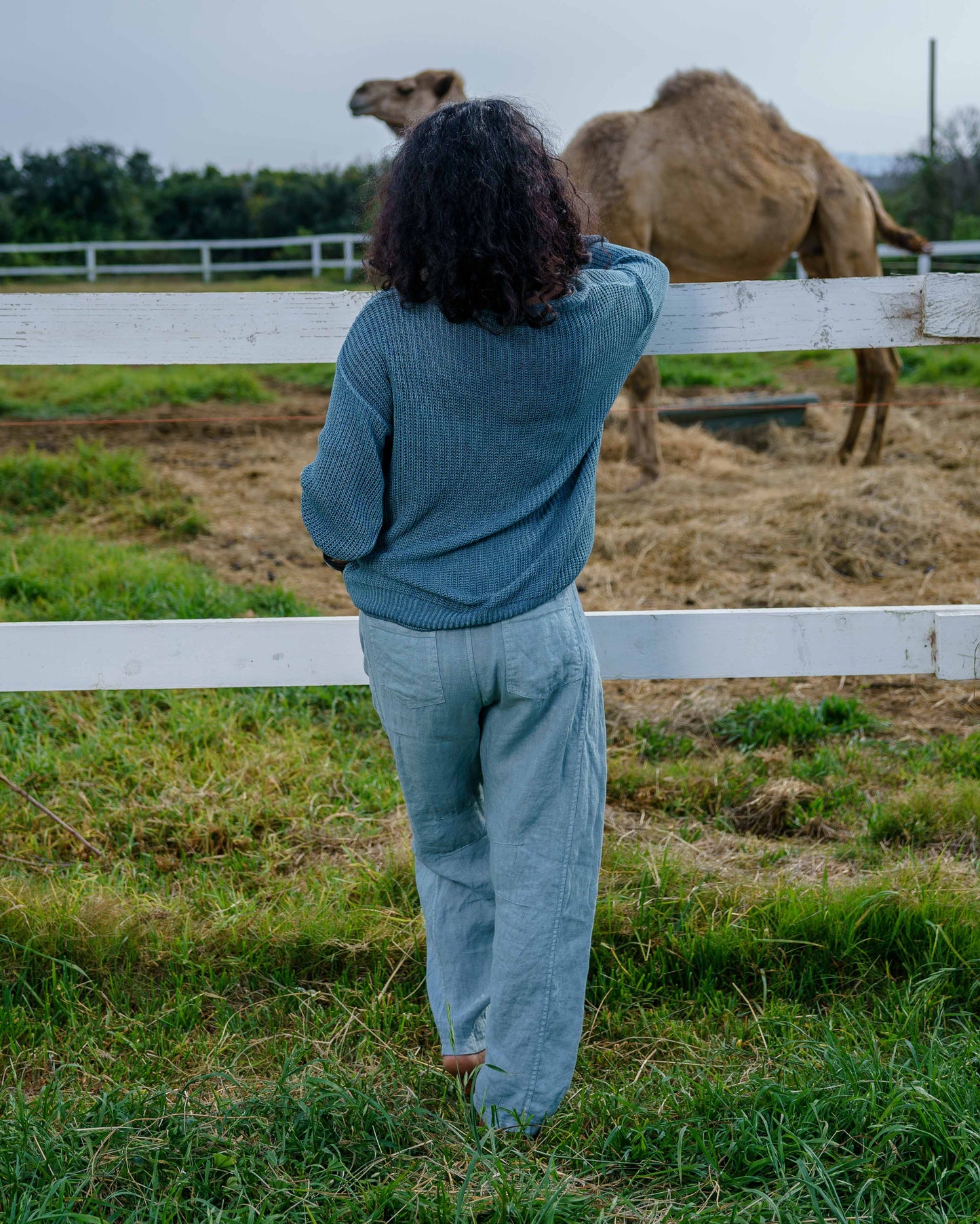 Clean Slate Knit | Forest
