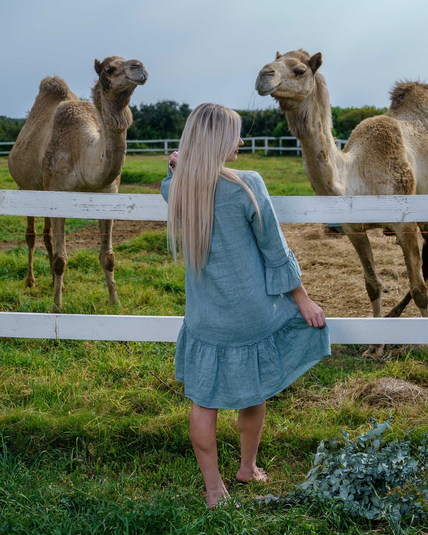 Paradise Linen Dress | Sage